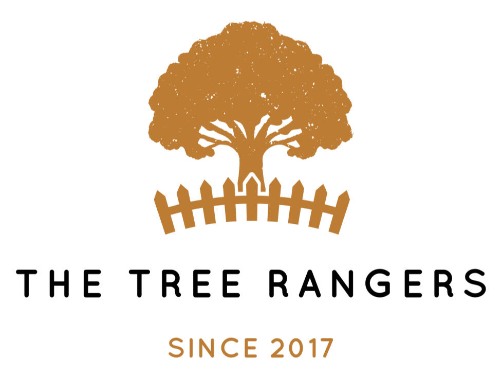 The Tree Rangers - Tree Surgeons for Hertfordshire, Bedfordshire, and Buckinghamshire The Tree Rangers - Tree Surgeons for Hertfordshire, Bedfordshire, and Buckinghamshire